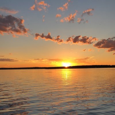 CharlotteFeigin's profile picture. 