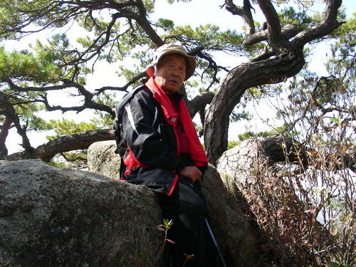 교육공무원 퇴직, 과수,아코,야생화 기르기,산 좋아 산 오르고 그곳 생물 사랑스러워  대화하며 신나게 멋지고 당당한 제2인생 즐기며 지내려 합니다..