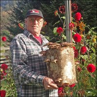 James Q. Jacobs (@jqjacobs) 's Twitter Profile