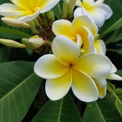 itsjuststuff's profile picture. Christian, conservative, animal lover, promoter of free speech and sense and sensibility. Compassion.. 'it matters to this one'