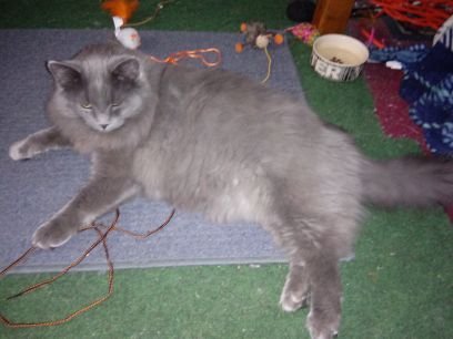 MaryLauraBarne1's profile picture. 