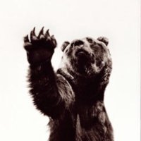 JEnd583 (@jendendyk) 's Twitter Profile