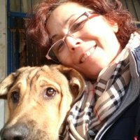 refikakasapoğlu (@refika_kasap) 's Twitter Profile