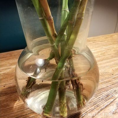 so_wh's profile picture. 曾在苏州，电子科学与技术专业。