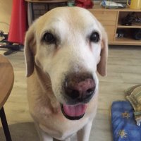 Pofat (@pofattseng) 's Twitter Profile