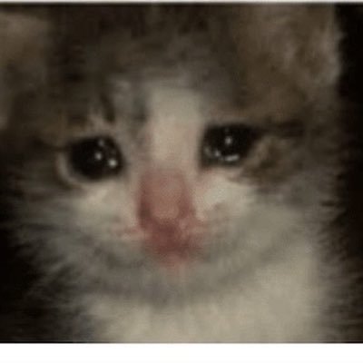 sadnibb50670034's profile picture. Sad hours 😕