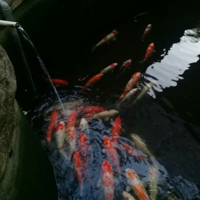 Admineti1's profile picture. PASRAH ITU HARUS,TAPI JANGAN MENYERAH.