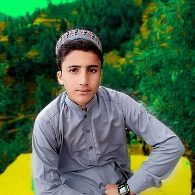 SultanBacha10's profile picture. 