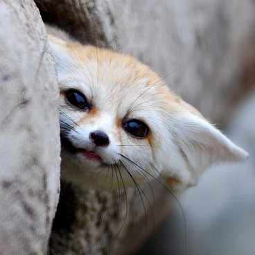 Retiq's profile picture. 