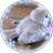すずめ(雷鳴に続けにサークル参加)のアイコン
