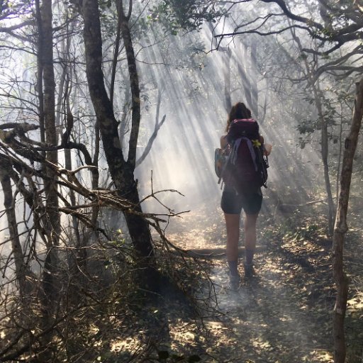 nature & elevation junkie, cream cheese enthusiast, public health nerd, & reigning world champion of being the most awkward person you know.