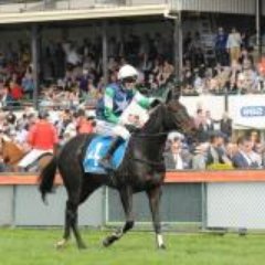 Sparksy___'s profile picture. 🐎