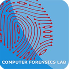 Computer forensics analysts + electronic discovery specialists + Helping law firms, law enforcement and corporate business with digital forensics investigations