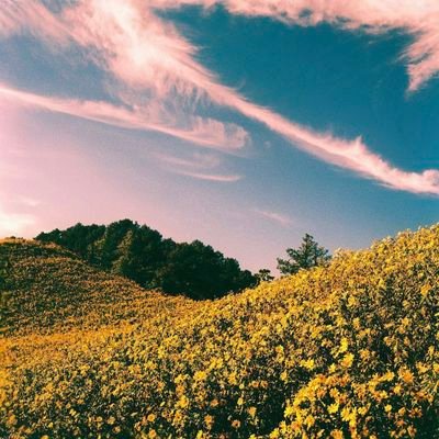 SPYKIDS_4D's profile picture. 📸 ถ่ายภาพ / ไดอารี่ 📓                                                                         มือใหม่หัดถ่าย : อาจถ่ายไม่สวย แต่ถ่ายจากใจ