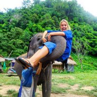 Adrianne Grebenkin (@adriannegreben1) 's Twitter Profile