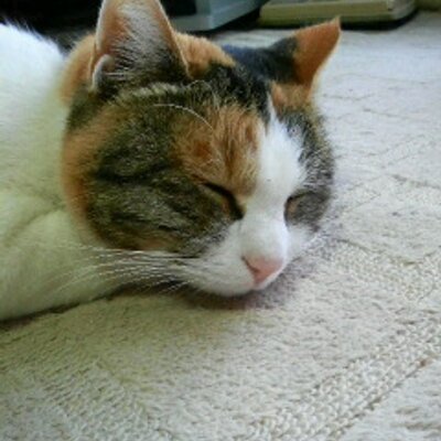 牧瀬。’24℃≠. (おねいちゃん)