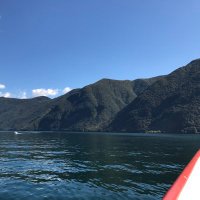 Mashael (@mesha_ar) 's Twitter Profile