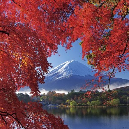 一生に一度は行ってみたい日本の絶景スポットをご紹介します！日本の美しい絶景をご覧ください。