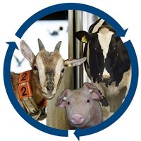 Institute of Behavioural Physiology (FBN) (@fbnbehavphys) 's Twitter Profile Photo Institute of Behavioural Physiology (FBN) (@fbnbehavphys) 's Twitter Profile Photo