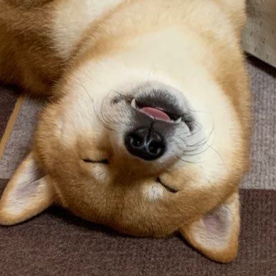 こたろうくん Kotaro Chang Twitter
