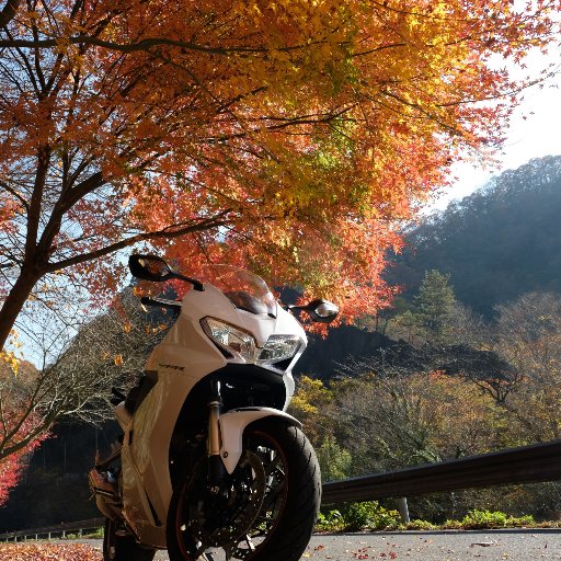 岡山でVFR800Fに乗っています。基本ソロですが、マスツーも好きです。 つぶやきは少なめです。