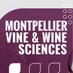 KIM Vine & Wine (@kimvinewine) Twitter profile photo KIM Vine & Wine (@kimvinewine) Twitter profile photo
