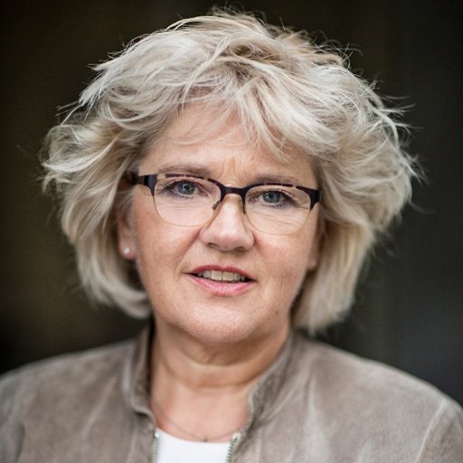 Inekevdberg's profile picture. loopbaanprofessional - trainer, coach, auteur - boeken: Gesprekken die werken, Lopen doe je Zelf - opleider van loopbaan-coaches