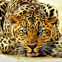 Rhonda J. Shuter R.N (@csaglobals) 's Twitter Profile