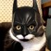 🇺🇦 🕊️ Le Chat Huteur 🕊️ 🇺🇦 (@felinposteur) Twitter profile photo 🇺🇦 🕊️ Le Chat Huteur 🕊️ 🇺🇦 (@felinposteur) Twitter profile photo