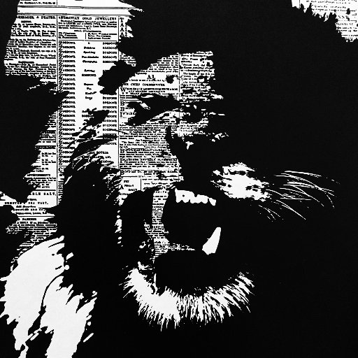 chicagoroar01's profile picture. Yccs West Youth Media Company