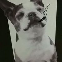 Spiffy🐶🚬 (@spiffythesaint) Twitter profile photo