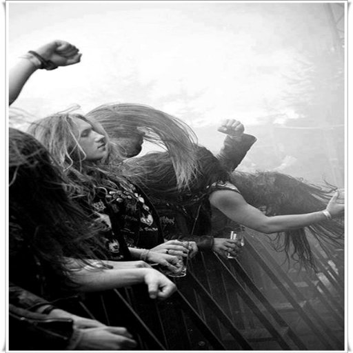 Live_at_W_H_R_A's profile picture. 🤟page of the best and best known metal festivals in the world. (página de los mejores y más conocidos festivales de metal en el mundo)