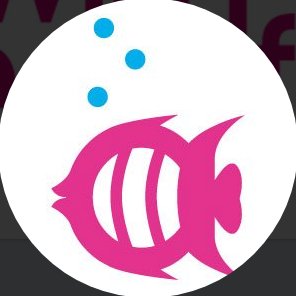 Does your child need a swim whisperer? 🏊🏽♂️🏊🏽♀️ Our mission is to provide children of all abilities with the skills to be safe & comfortable in the water