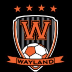 Wayland Boys Soccer