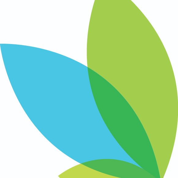 CalmanteN's profile picture. Somos um blog que busca trazer informações sobre plantas possuem propriedades ansiolíticas ou calmantes naturais, por mecanismos diversos.