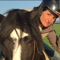 Birgit Aßmann (@birgitass) 's Twitter Profile