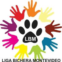 Liga Bichera Montevideo Refugio(@LigaBichera) 's Twitter Profile Photo