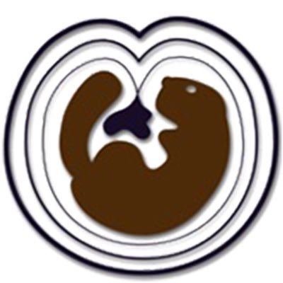 Scottish Wild Beaver Group Profile