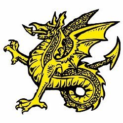 SWSCHOOLSFA1's profile picture. The SW Schools FA is a regional organisation providing football for children aged 8 to 18. the SW Schools FA is affiliated to the English Schools FA.