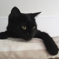 Mark Somerville (@marksomervill13) 's Twitter Profile Photo