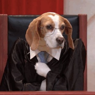 theAnimalLaw's profile picture. No animal is just a piece of property! EARN is the only nonprofit legal group defending and expanding the rights of SoCal animals and their people.