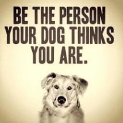 Kennight99's profile picture. Note to self;
Do Not engage morons! They will poke you then report you. I support THE BEST POTUS ever.#MAGA #2A