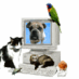 Veterinary Pet News (@talktothevet) Twitter profile photo Veterinary Pet News (@talktothevet) Twitter profile photo