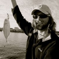 NoyesFieldNotes (@fieldnoyes) 's Twitter Profile