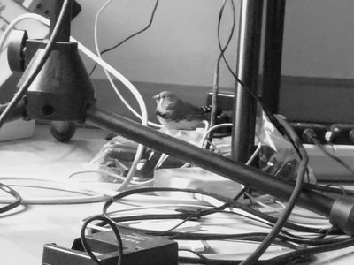 MooRambling's profile picture. Interested in everything
Passionate about remaining in EU🇪🇺 
Support issues re #MentalHealth -Disability - Human rights - NHS -Art