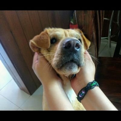 Landizar's profile picture. eres como la noticia que mas espero escuchar
todos y cada uno de mis dias