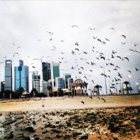 أبو علي 🇰🇼 (@ffaisal_1977) Twitter profile photo