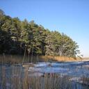 Rex Palmer - @Williamson1983 - Twitter