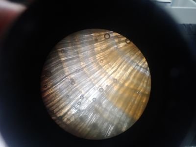 Prikinri's profile picture. Juste un gars qui ne sait pas ce qu'il fait là