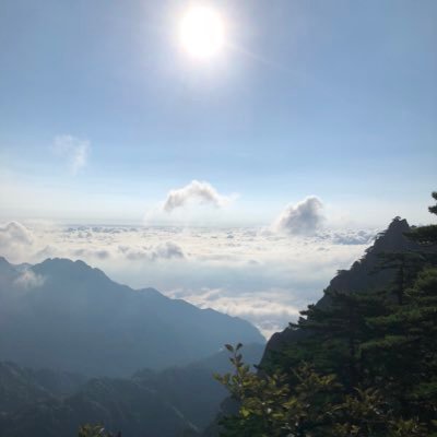 chaough's profile picture. 